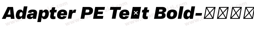 Adapter PE Text Bold字体转换